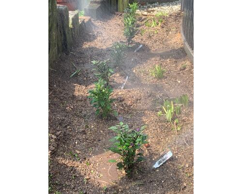 83E6C03F-0012-4DEE-92EB-DCA7AC665A4E