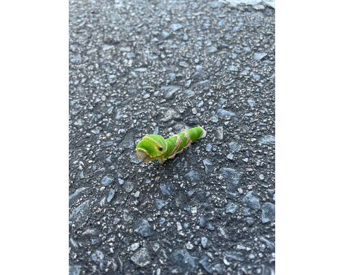 B839A688-1CDA-4881-87FF-59D861D5B9D9