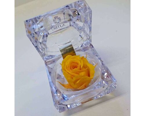 07B5A520-E332-41C7-BDEA-DAD659E11F09