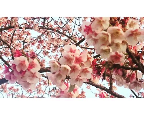 C74264A0-F271-4518-B02A-D767D58A8E7A