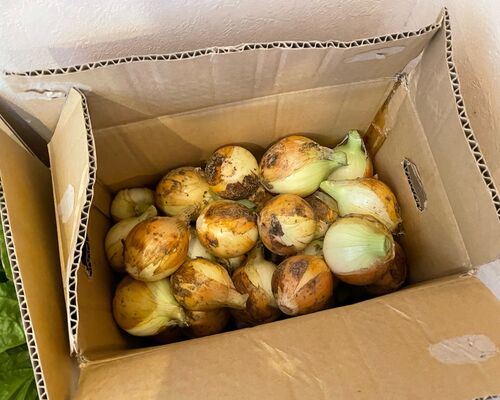 782498FA-4945-42B2-B905-8F94E3B28C33