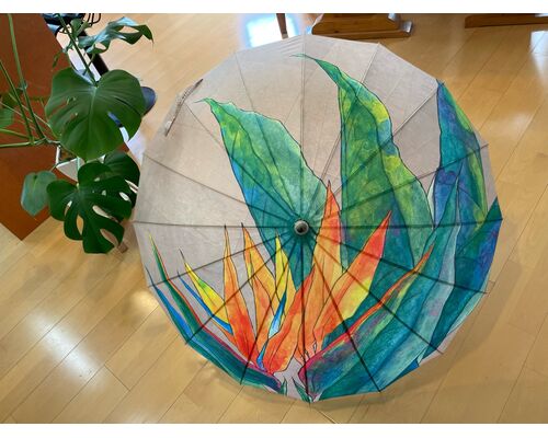 3771C0B1-EAA8-48ED-BA8C-C19C55413E90