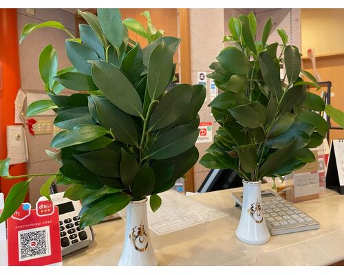 CE9EB524-FBC0-4DC9-8727-A2D3D1542720