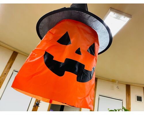 6D598755-C576-44DA-AC41-FEB8BFBB07D8