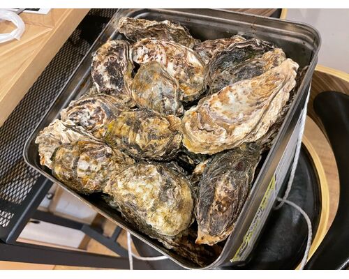 B71D505C-DCDC-4532-9E56-3167905DE16C